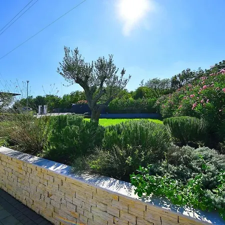 فيلة La Casa De Papel