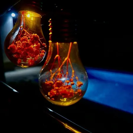 La Casa De Papel فيلة